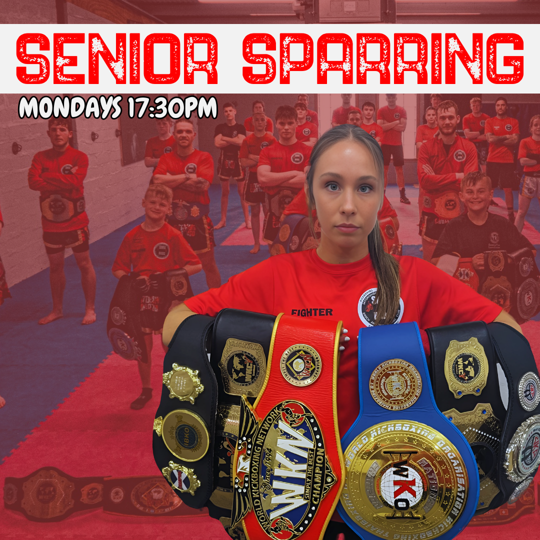 Senior Kickboxing/Boxing Sparring - Monthly Payment