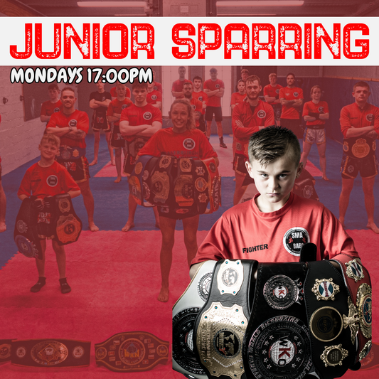 Junior Kickboxing Sparring - Monthly Payment